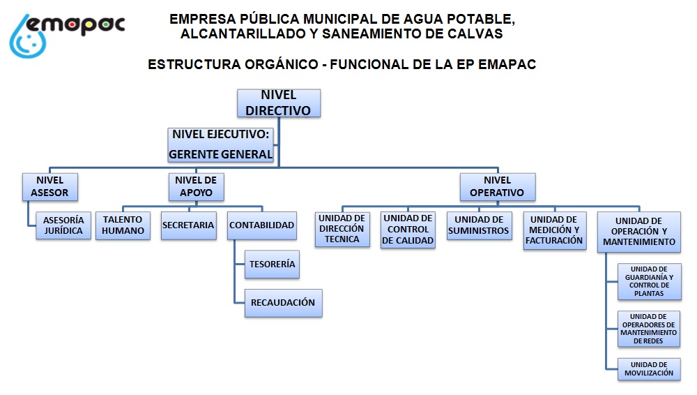 estructura orgánica funcional